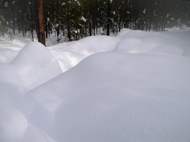 Sunriver Jan 06a 111 